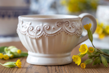 A cup of herbal tea with wild primula flowers