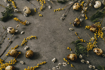 Easter background with easter eggs and spring flowers. Yellow eggs on gray background. Place for inscription. top view