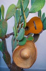 Cactus and guitar and sombrero as Mexican symbols. Cinco de Mayo concept