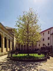 The Tree of Guernica (Gernika), Basque Country