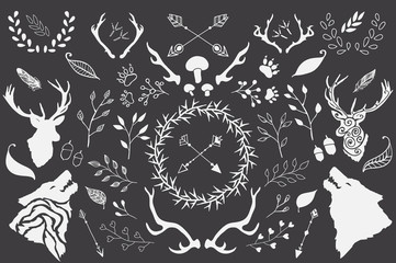 Wild Life Vector Elements. Hand Drawn Set with leafs, wreaths, antlers, silhouette of wolf and deer. 