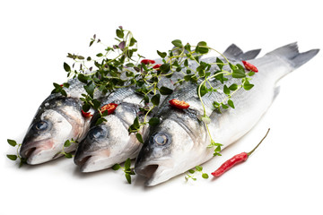 Fresh whole sea bass fish with spices isolated on a white