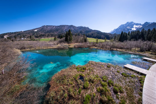 Lake Zelenci with observation trail and ponce mountains in Slovenia