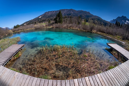 Lake Zelenci with observation trail and ponce mountains in Slovenia