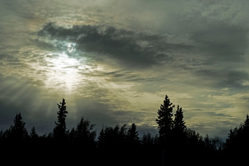 Bright sun silhouettes over Alaskan river.