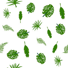 Seamless pattern. Tropical green leaves isolate on white background