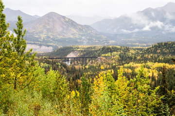 Train tressel surrounded with colorful leaves in Denali National Park.