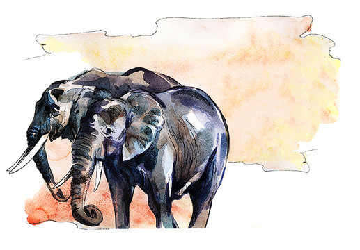 Two elephants. Drawing watercolor. Two African elephants against the sky. Paint spots.