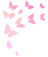 beautiful pink butterflies, isolated  on a white - 259026196