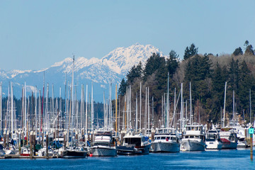 Olympic Mountains and West Bay Marina