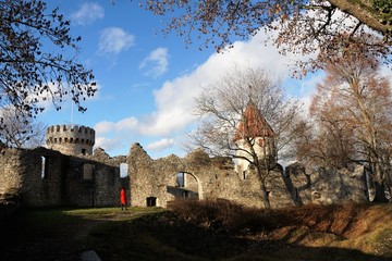 Honberg hill with castle honburg in tuttlingen