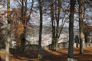 Honberg hill with castle honburg in tuttlingen