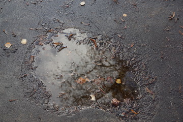 Pfütze mit wasser im hebst