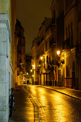 Fototapeta na wymiar Seville after a rain at night 