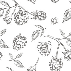Hand drawn raspberry. Retro sketch style illustration. Perfect for invitation, wedding or greeting cards. Seamless pattern.