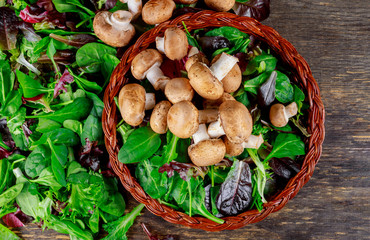 Healthy salad with Raw Champignons with vegan salad with raw mushrooms.