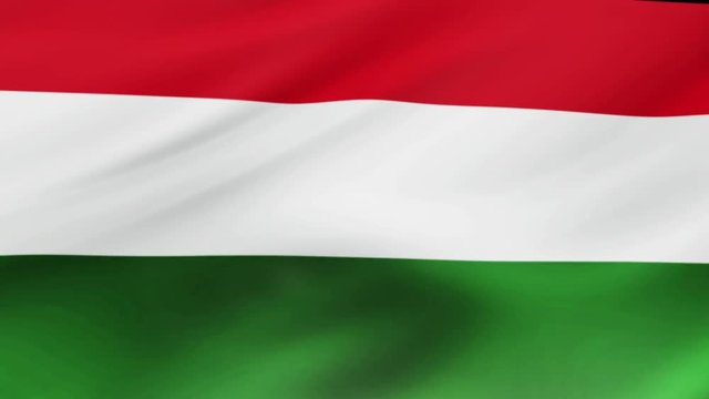 Hungary flag waving in wind video footage  Realistic Hungary Flag background. Hungary Flag Looping Closeup