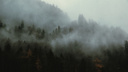 Winter foggy forest in cloudy Hallstatt.