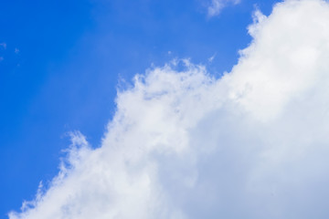 Bluy sky with big white cloud background.