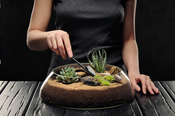 Two women's hands are caring for a small garden with tropical plants, succulents and sand in a glass pot. Gardener's tools.