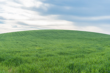 Obraz na płótnie Canvas Green grass hill under blue sky