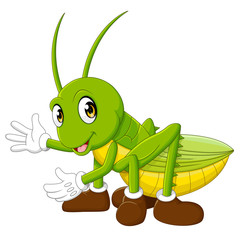 Cute Grasshopper cartoon