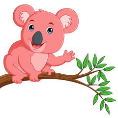 Funny Koala Cartoon