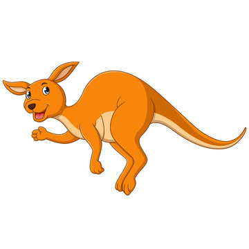 Funny Kangaroo Cartoon