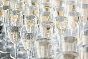 A row of glasses of champagne on a light background. Buffet concept and event organization.