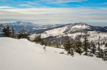 Beautiful winter fairytale landscape. Snow capped trees and slopes in the Polish mountains.