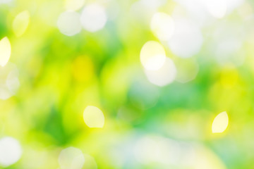Obraz premium Abstract spring background from blurred blooming orchard