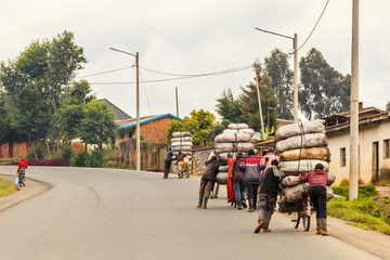 Rwandan farmers men delivering crops from the fields on the bikes loaded with sacks, central Rwanda - obrazy, fototapety, plakaty