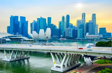 Photo sur Plexiglas Helix Bridge Singapore skyline, Artsience museum, bridge