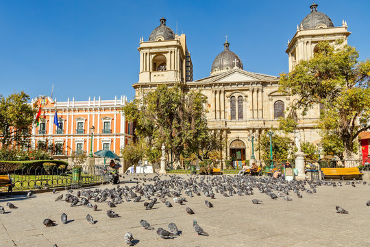 Plaza Murillo, La Paz central square full of pigeons with cathedral in the background, Bolivia