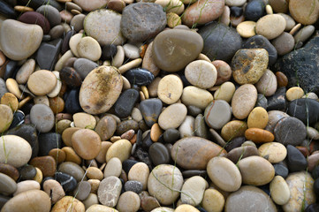 stones in the beach