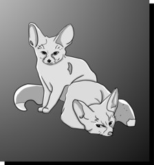 isolated two fennec foxes in black and white 