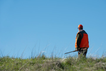 Upland bird hunter against a blue sky.