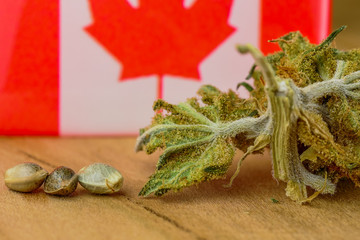 HDR Photo of Medical Cannabis Seeds Oil with THC and CBD on the fresh piece of oak wood.