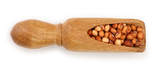 soybeans in wooden scoop isolated on white background top view