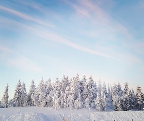 Winter skies