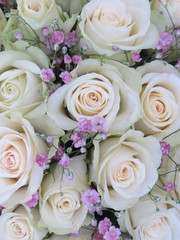 Blumen