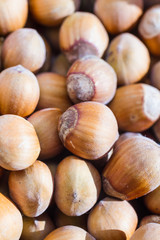 Hazelnuts drying background