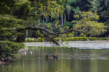 Horto Florestal in Sao Paulo, Brazil