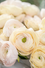 Persian buttercup. Bunch pale pink and pastel yellow ranunculus flowers in Glass vase. Vertical Wallpaper
