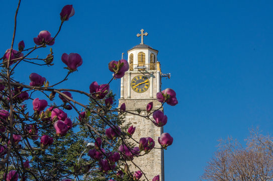 Bitola clock tower - Magnolia tree in the foreground &ndash; Macedonia