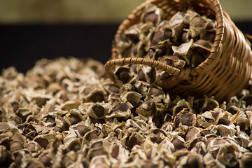 Moringa tea in loose seed