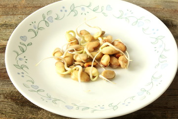 sprouted germinated hyacinth beans,valor beans or lablab purpureus bean ready for planting, microgreen or salad