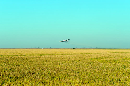 Avioneta de fumigaci&oacute;n en campo de sembrado 04