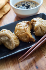 Chinese Dim Sum Dumplings