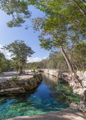 Fototapeta na wymiar Cenotes, Turtle House, Tulum , Quintana Roo, Mexico